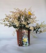 hypericum hidcoteense radiance iperico